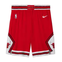 Nike Shorts x Bulls
