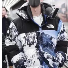 The North Face Down Puffer Jacket